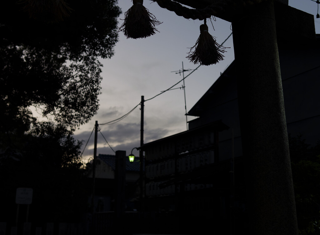 _1100927_DxO