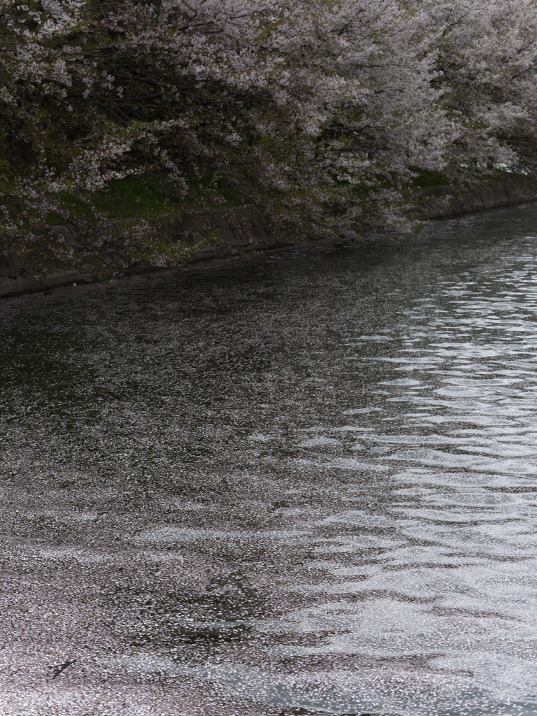 _G9P4694_DxO