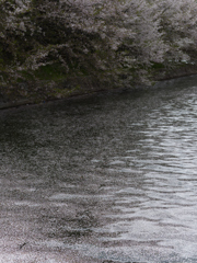_G9P4694_DxO
