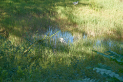 DSC03346b
