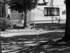 _1069520_DxO