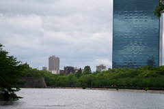 DSC01245