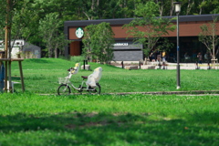DSC01570