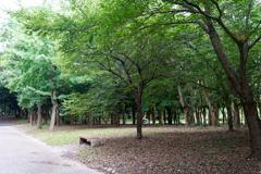 DSC06452