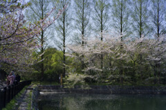 _1035907_DxO