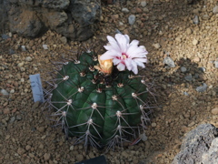 P1082668