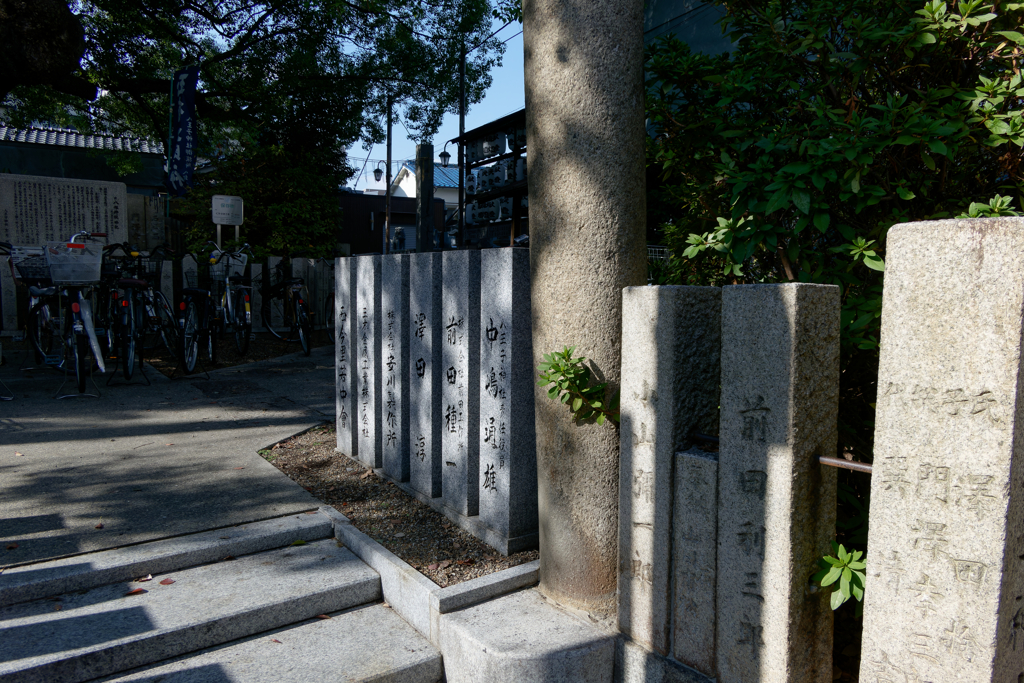 P1050100_DxO