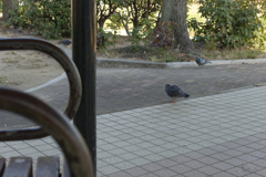 _1000824_DxO-1