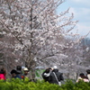 P1077930