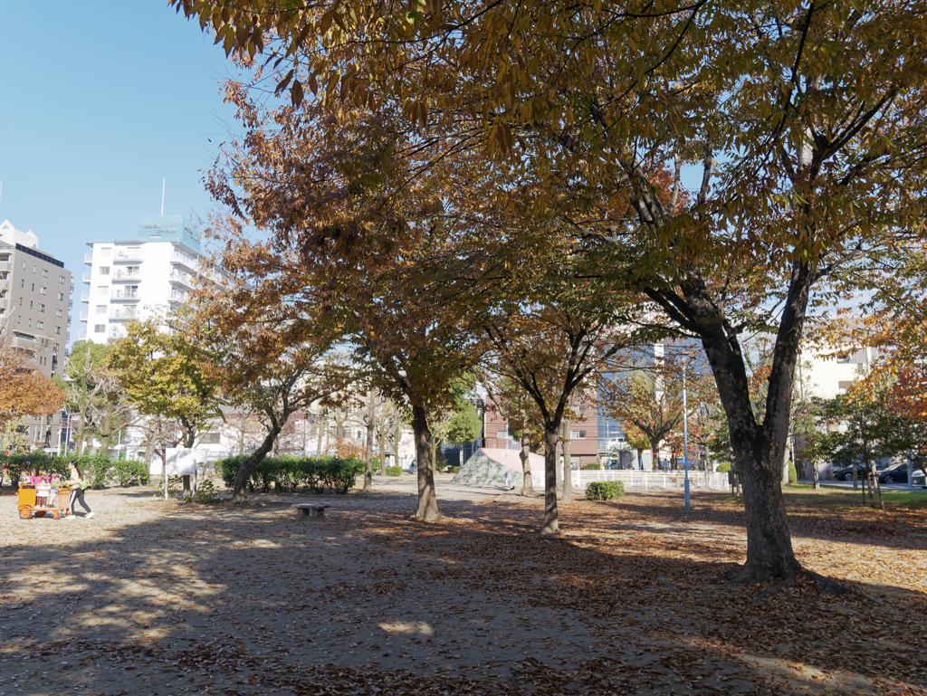 _1020744_DxO