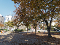_1020744_DxO