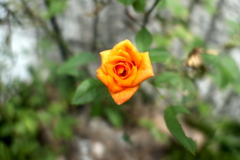 P1020040