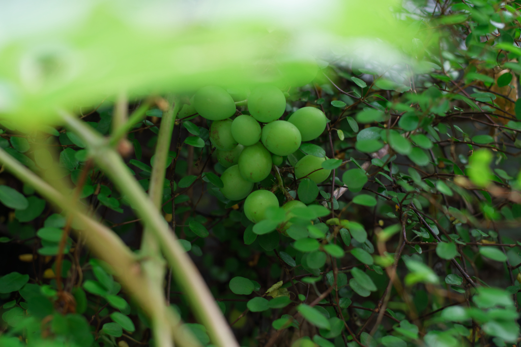 DSC00397_DxO