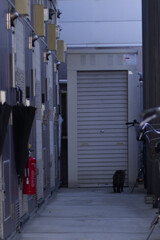 _7R32454_DxO