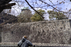 _7R32401_DxO