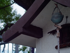 EF50mm F1.4 