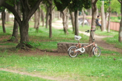 DSC01314