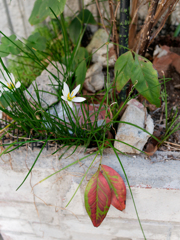 P1010712_DxO