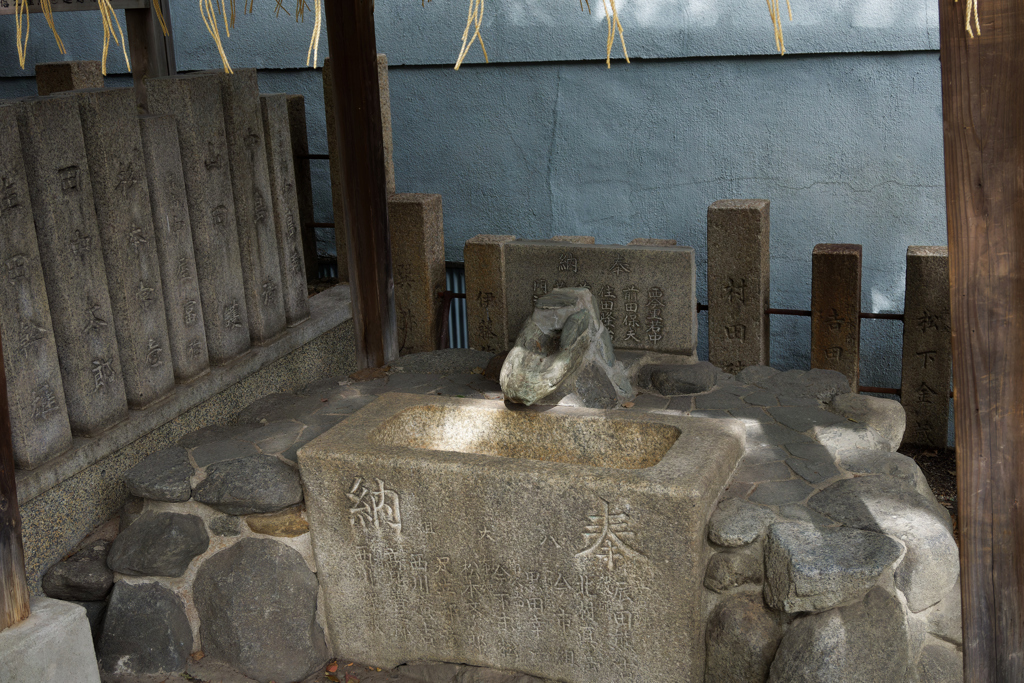 DSC01023_DxO-1