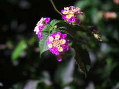 P1080101