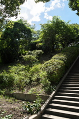 DSC02086