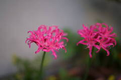 A7C00280