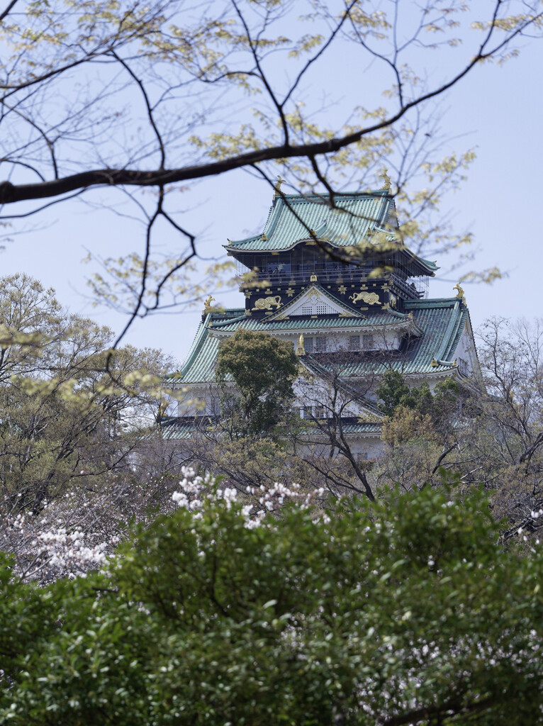 _1090470_DxO