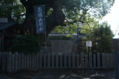 久々にα7R3で撮って出し