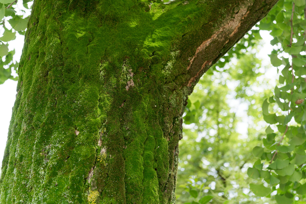 A7C02091_DxO