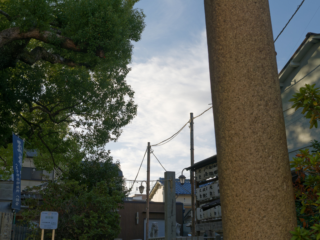 _1020140_DxO