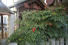 _A7C3871_DxO