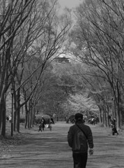 _1090460_DxO