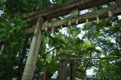 DSC01867