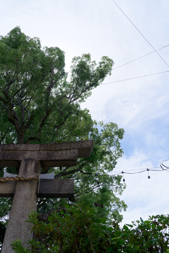 A7C02115_DxO