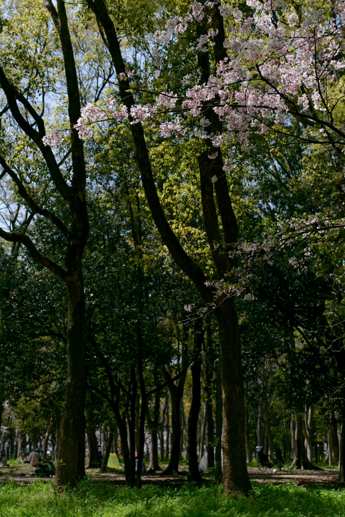 P1000837_DxO