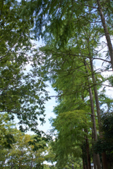 DSC03040