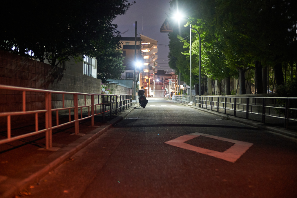 夜散歩