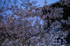 A7C08837 1