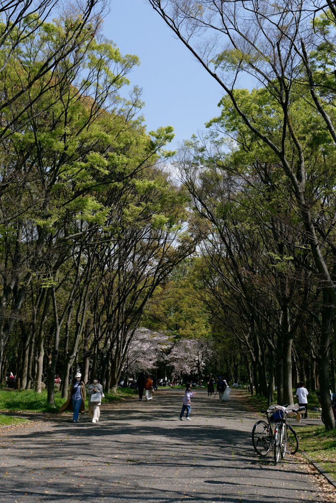 P1000853_DxO