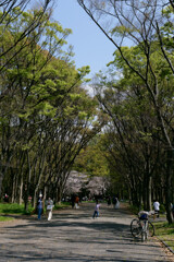 P1000853_DxO