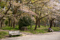 DSC05767