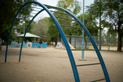 DSC07254