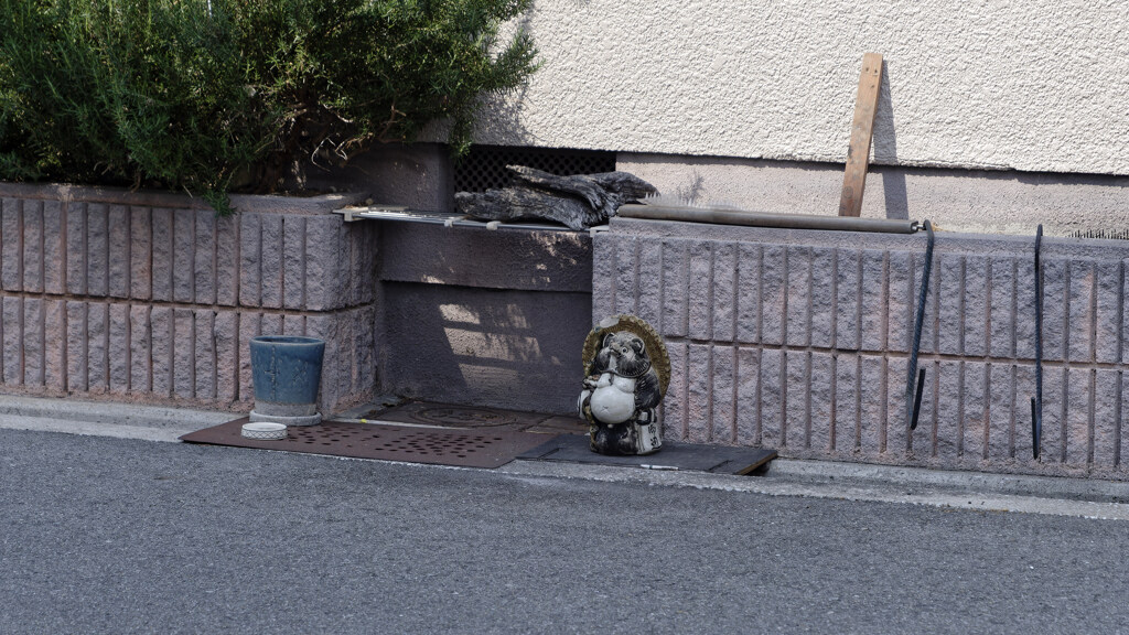 _1090379_DxO-1