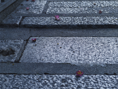 _1080845_DxO