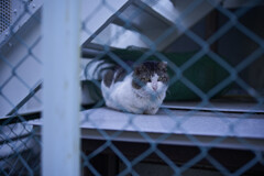 _7R32457_DxO