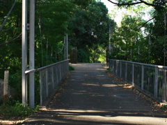 P1094003