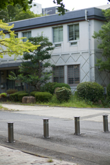 DSC03019