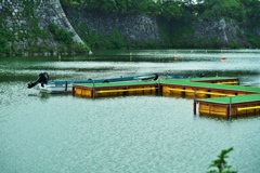 DSC01801