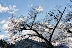 DSC00107_2