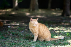 DSC00864